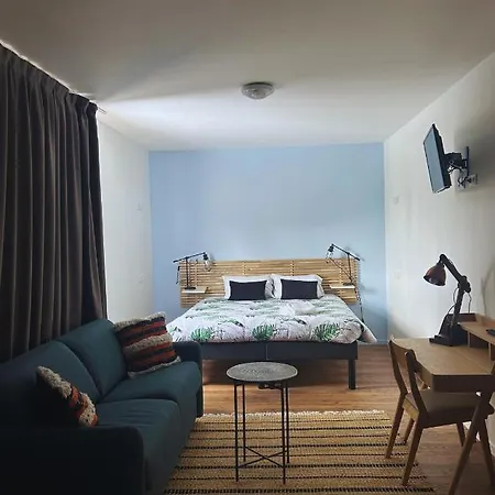 Hotel Du Pelissier Pont-Saint-Vincent