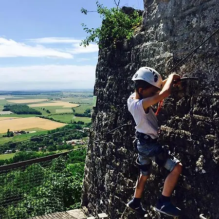 Du Pelissier Hotel Pont-Saint-Vincent