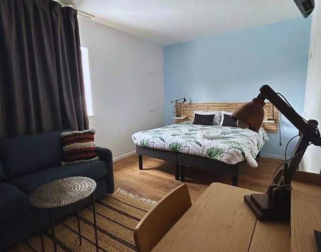 ホテル Du Pelissier *